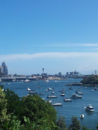 LexiRamirez89's tweet image. Great morning for a run Sydney! #stayclassySydney #sunrun #fitfam #functionalfit #skysoutthighsout