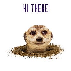 TELUSsupport's tweet photo. @jpartington7 Hi, James! Give us a shout if you have any questions :) #helloJames https://t.co/QncTSJ8rIs