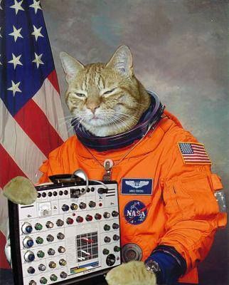 SpikeLaRock's tweet image. #New Pin on @CatSynthSpace - bit.ly/1TMRvEN &amp;gt; #FuzzAldrin