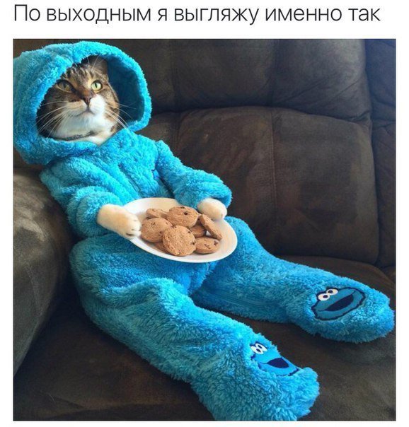 СМСник (@tw_sms) on Twitter photo 