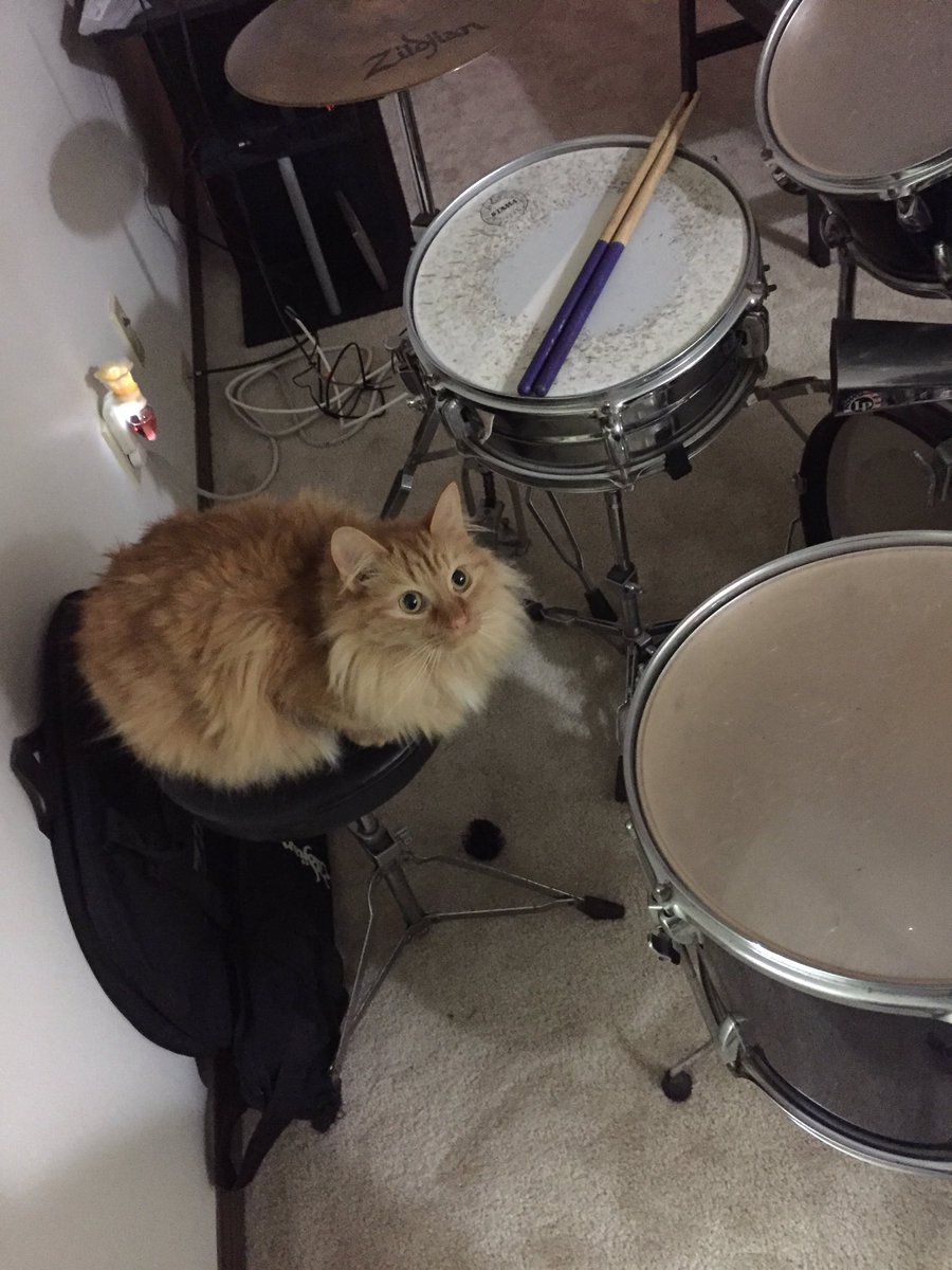 Jack Rathe (@JackRathe) | Twitter