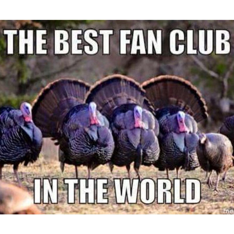 ohpto's tweet image. #TurkeyHunting #SpringTurkeyHunting #FanClub #Gobbler #ThunderChicken #OHPTO #AdamsCountyOhio