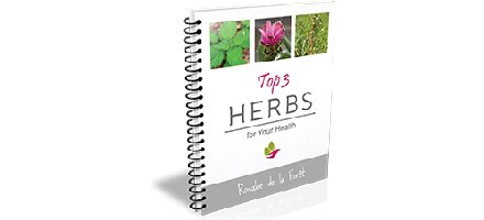 RosaleeForet's tweet image. Download your free ebook: Top 3 Herbs For Your Health (with recipes!) bit.ly/TLU8JH