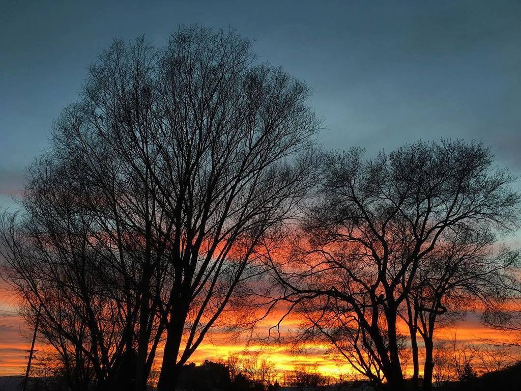 jeremyhall's tweet photo. I'm always a sucker for some #sunset and #silhouette goodness. #drivebysunset #utah #utahc… https://t.co/0cWB7MN6Qn https://t.co/5jkDa22leA