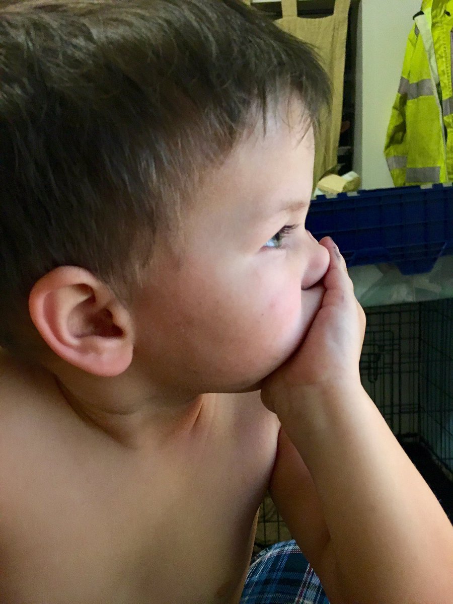 Karyn Engle tweet media