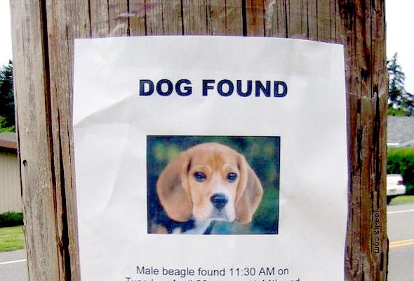 Help find. Maple история. Help find. Режим пропажи айфон. Мобильное приложение мем.