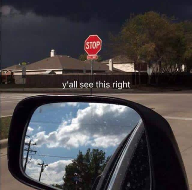 ThingsFloridiansLike tweet media