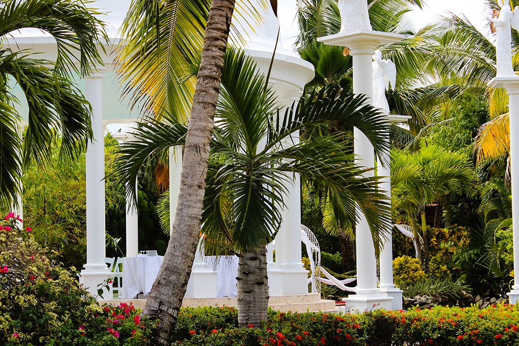 Navicci's tweet photo. MELIÁ CARIBE TROPICAL REVIEW https://t.co/hx6ujjGcWL #travel #dominican #resort https://t.co/XRsIdYgGRf