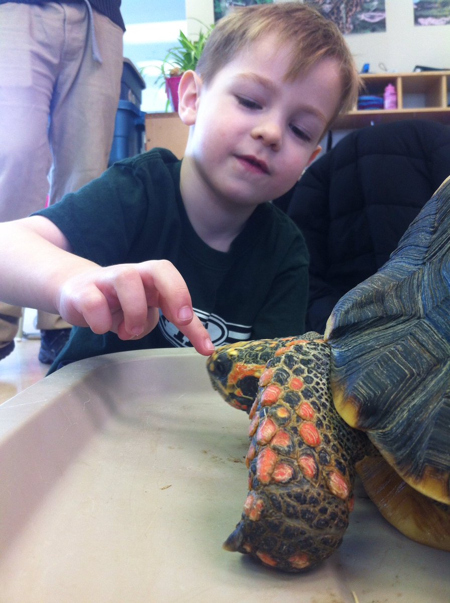 fernhilloak's tweet photo. Thank you @SafariScience for your visit to preschool last week! We had so much fun! https://t.co/Q7DwA7NQn8
