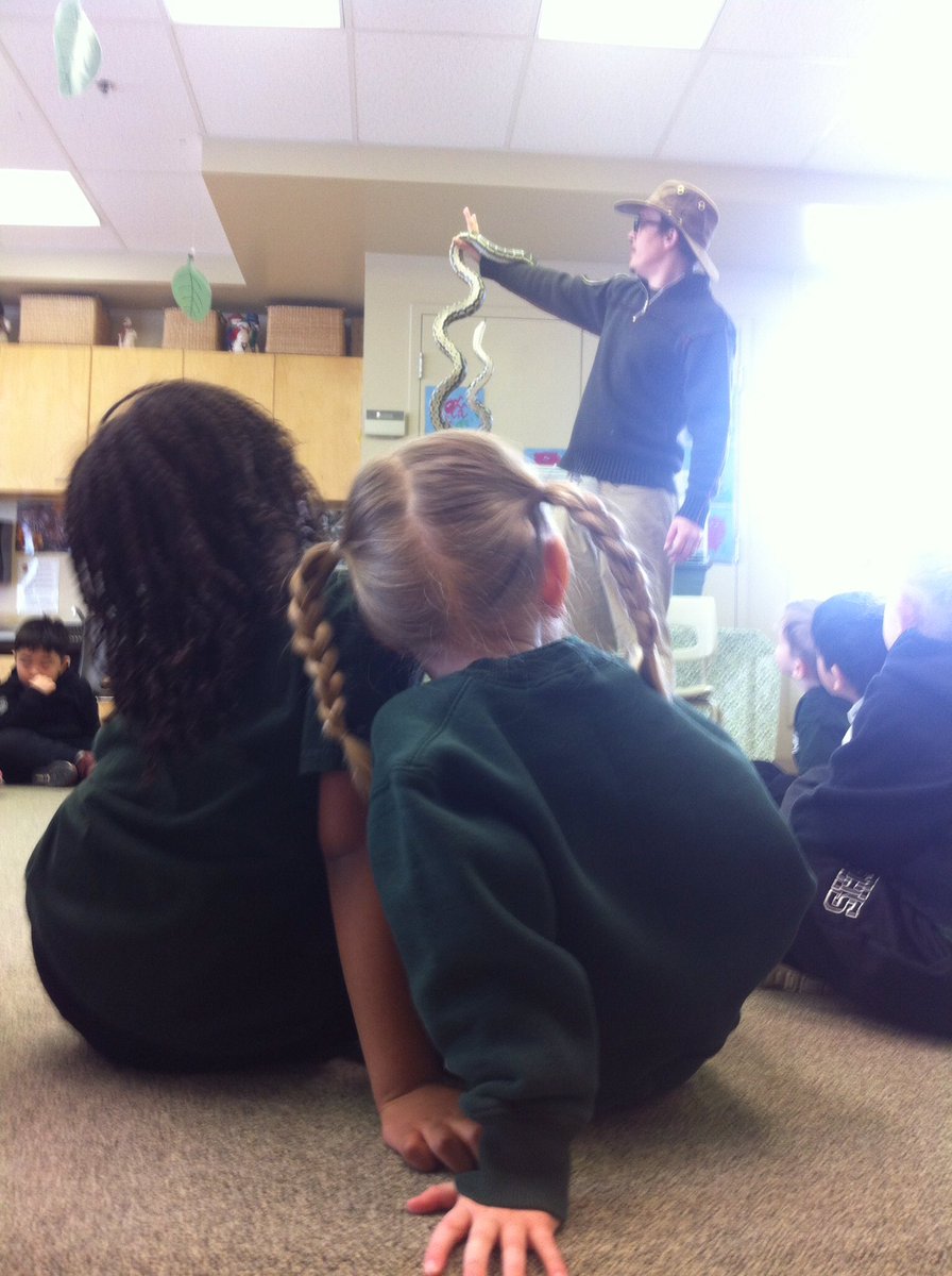fernhilloak's tweet photo. Thank you @SafariScience for your visit to preschool last week! We had so much fun! https://t.co/Q7DwA7NQn8