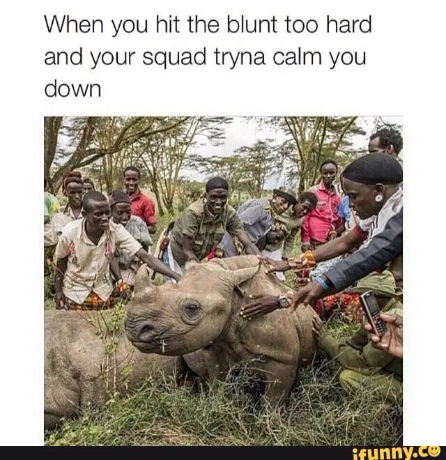 losskause_iFoe's tweet photo. #lol #funny #blunttohard #iFunny https://t.co/hEPVCr5Mqg https://t.co/PxBUmf8eXB