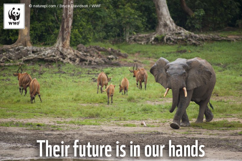 3 March is #WorldWildlifeDay. RT to spread the word. wildlifeday.org