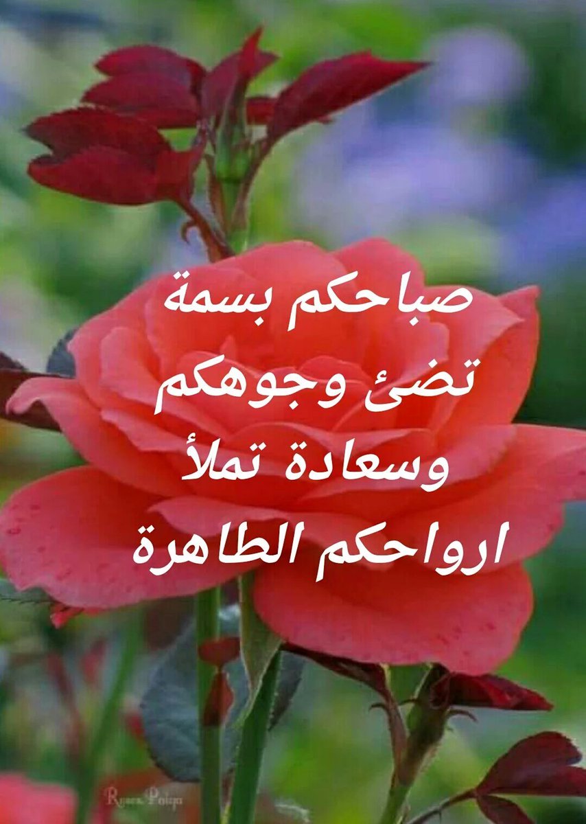 ملكة الاحزان (@rhsl1000) on Twitter photo 