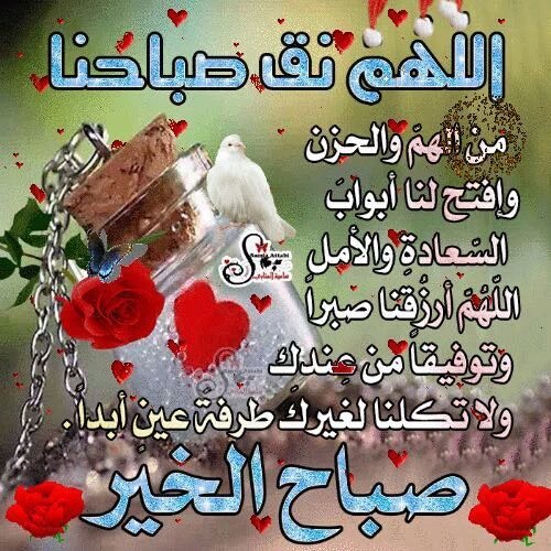 ملكة الاحزان (@rhsl1000) on Twitter photo 