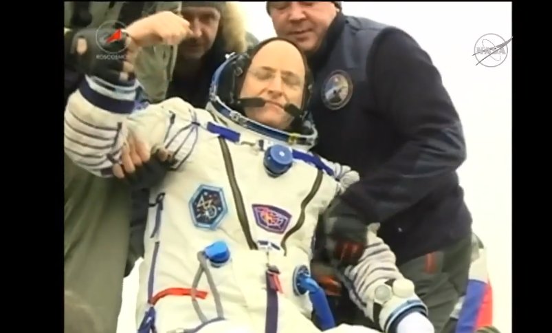 Amanda Wills tweet media