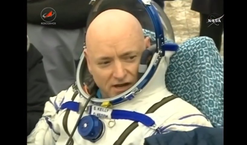 Amanda Wills tweet media