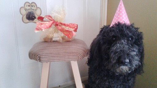 Yurkenbaum's tweet image. This is my dad. He turned 91. Holy crap. goo.gl/gaKteT #oldman