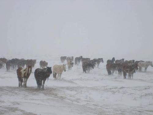 ЦАГ АГААРЫН ГАМШИГТ ҮЗЭГДЛЭЭС УРЬДЧИЛАН СЭРГИЙЛЭХИЙГ АНХААРУУЛЖ БАЙНА!!!