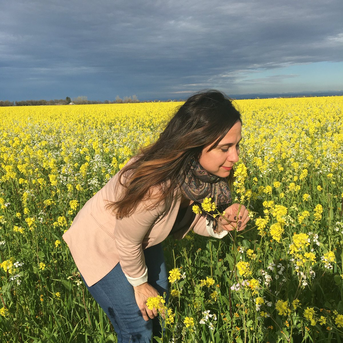 Love this time of year! #california #mustardfields #marchspring