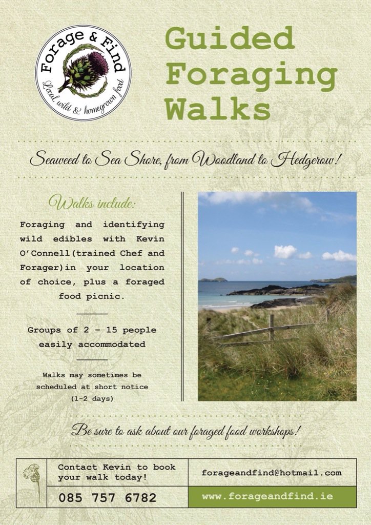CForageandfind's tweet photo. Guided foraging walks will be starting soon! As seen in @NYMag ! Watch our FB page or visit forageandfind.ie 2book! https://t.co/IRcBs6AULw