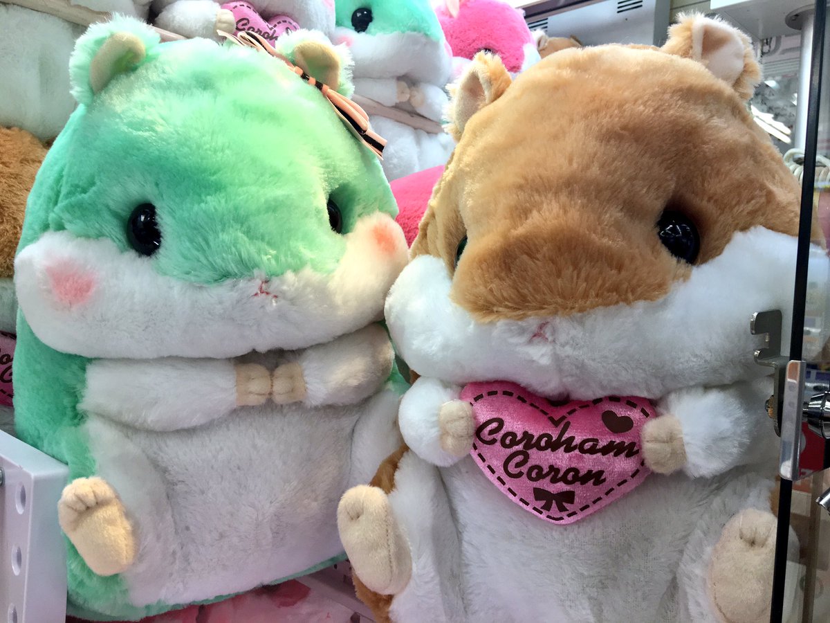 ころはむコロンCutie