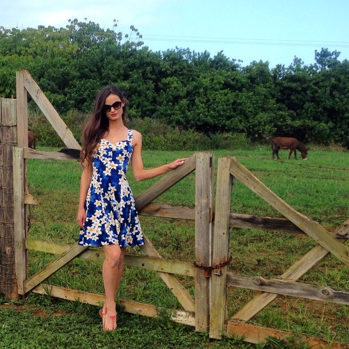 I tried to get the donkey to come to the fence but he was being a real ass 😉🐴💜 https://t.co/0ACn5Nz0<a href="/tag/vacation"class="tags"><span>#vacation</span></a>