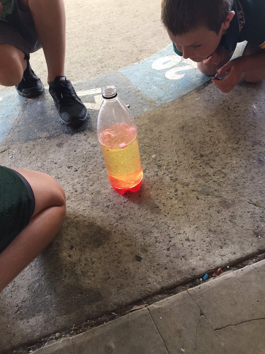 peterwshearer's tweet photo. Science time at cobbitty ps @d_shearer @dawndallas1 #56S2016 https://t.co/hISBKCEWFY