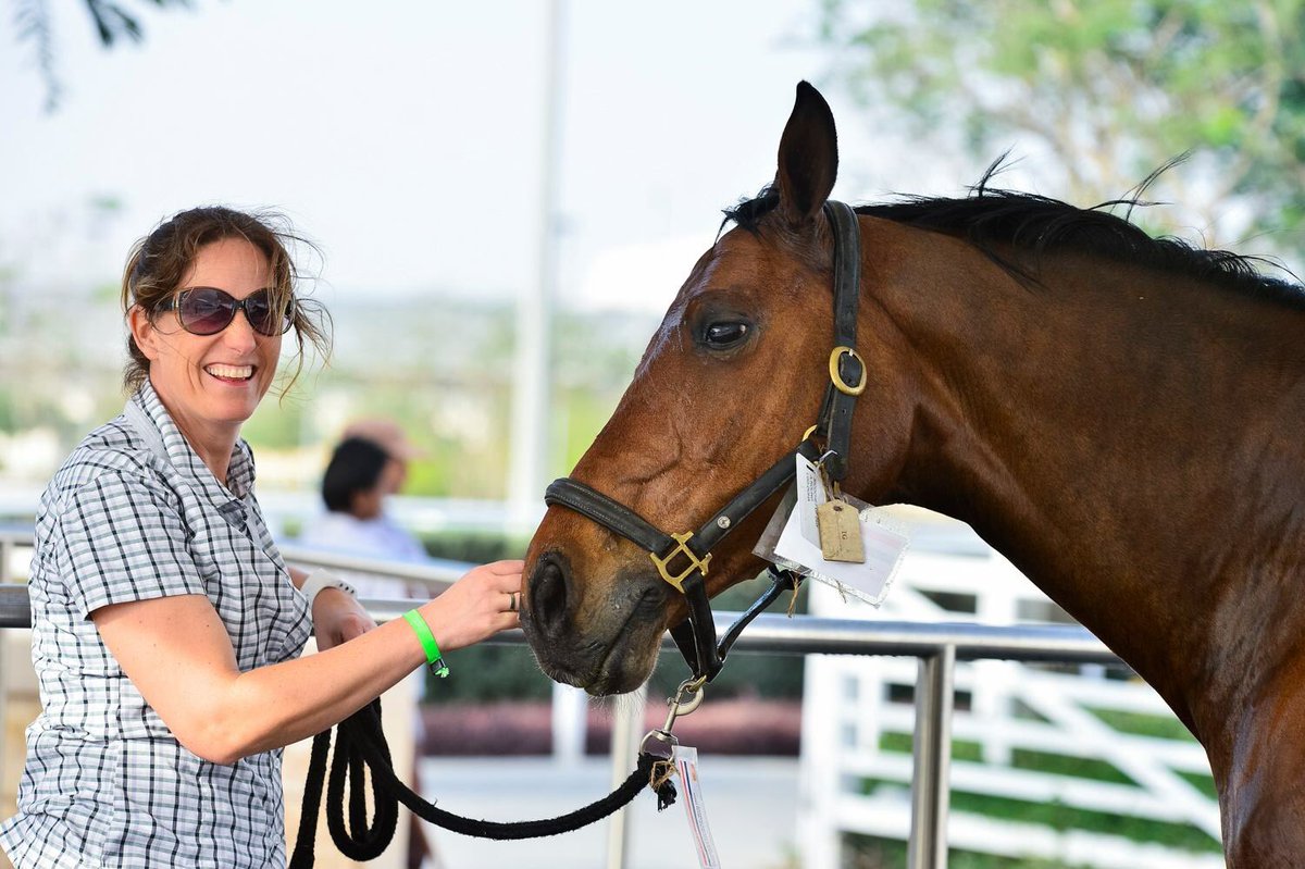 AlShaqab's tweet photo. Come join us at CHI Al Shaqab TODAY from 10am-6pm and enjoy the range of activities we have planned. #CHI_ALSHAQAB https://t.co/hMc8VLQkqu