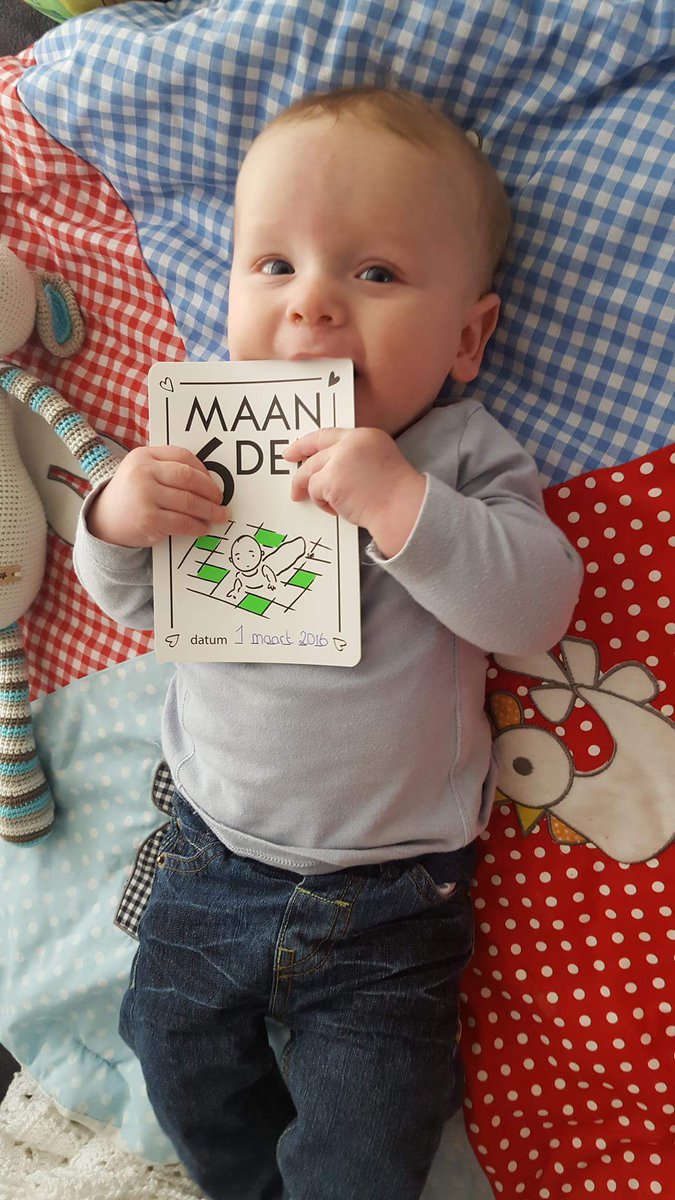 SEEenLOVE's tweet photo. Brandon 6 maanden!! #loveit #baby #plukhetmoment #allermooistekraamkado https://t.co/v2kRXPWWlj