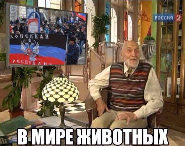 У предложений миссии Европарламента относительно реформ ВР большие шансы быть реализованными, - Сыроид - Цензор.НЕТ 5388