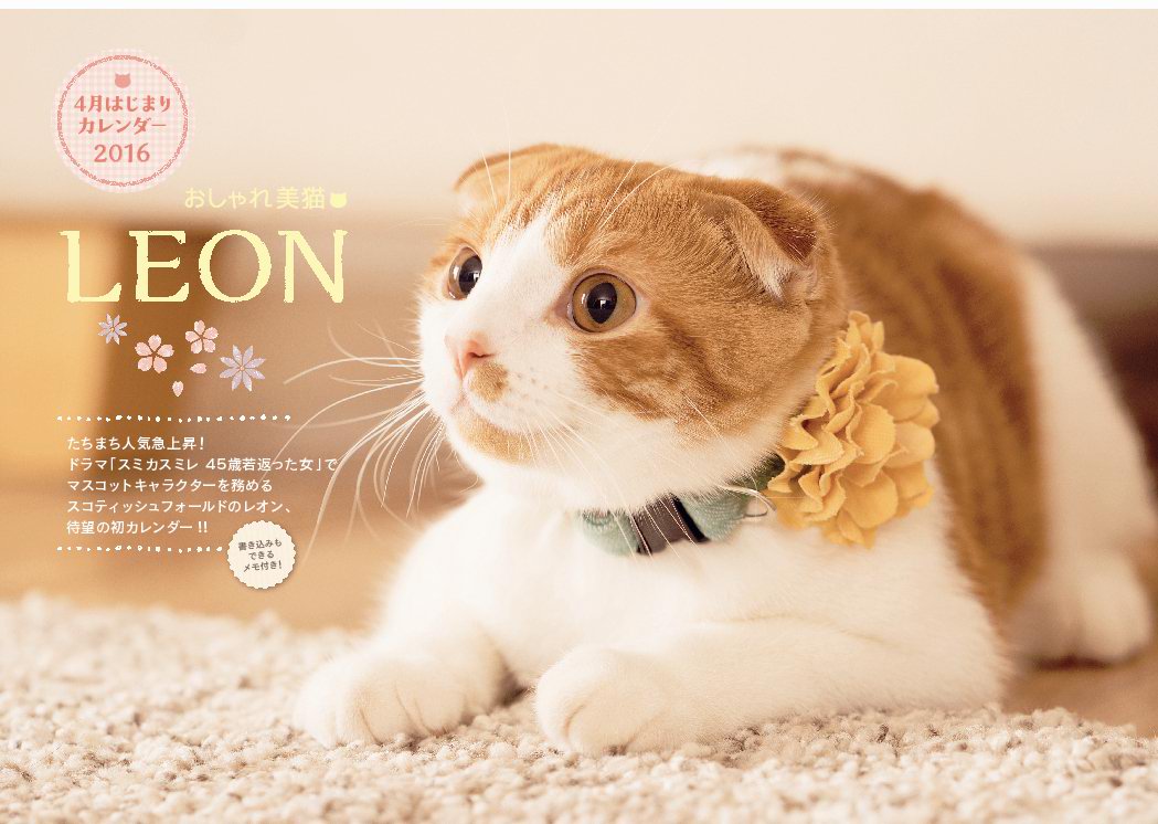 週刊tvガイド Pa Twitter おしゃれ美猫leonカレンダー16 3 5発売 雑誌の表紙も飾るなどスタイル抜群の猫 Leonの初のブックスタイルカレンダーが登場 愛嬌たっぷりな表情にぜひ癒やされてください T Co Lklknkwber T Co Qjhmpmf7mq