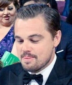 SarcasmHumorous's tweet image. Everyone deserves to be looked at the way LEONARDO DICAPRIO looks at his cookie .....:p