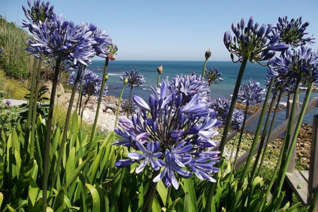 vanessa_wester's tweet photo. Beautiful day on the #isleofwight today! 

Hope you all have a good one too... https://t.co/J42q87dRpY