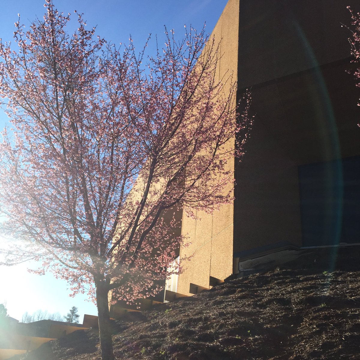 Kenan Institute of Private Enterprise tweet media