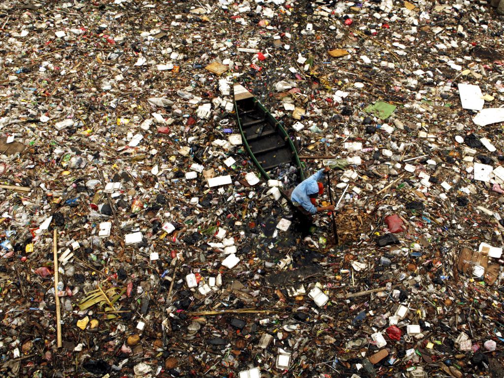 Elise Faure tweet media