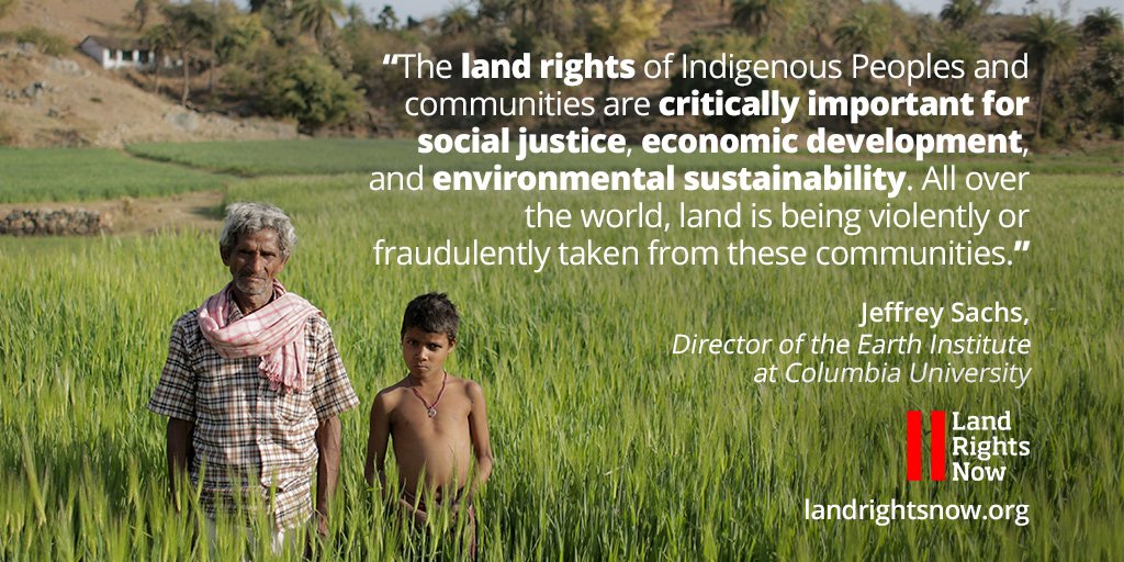 ForestPeoplesP's tweet photo. Press: Livelihoods &amp; forests at increased risk if land rights are ignored https://t.co/QWGvmEzJNO #LandRightsNow https://t.co/shvitgjDpU