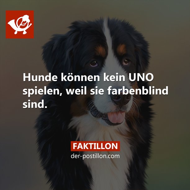 Faktillon's tweet image. Mehr Fakten auf &amp;gt; faktillon.tumblr.com
Ehrliche Nachrichten auf der-postillon.com
