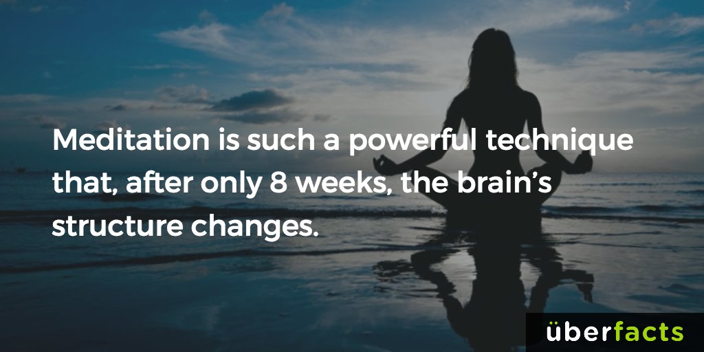 UberFacts's tweet photo. Don't underestimate what it can do. https://t.co/qWKrRb4zze