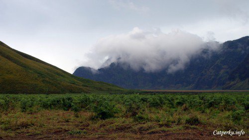 idbcpr's tweet photo. Exploring Indonesian Bromo Tengger Semeru National Park https://t.co/LnWpbrj1Sp #travelblog via @catperku https://t.co/EIS8AI5Qkr
