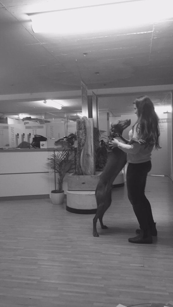 einhoernfee's tweet image. What a difference 💁🏼❤️😍