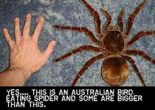 Cancels trip to Australia. Throws phone out the window 👀😳😳 https://t.co/Mzyq2Zdevg<a href="/tag/wcw"class="tags"><span>#wcw</span></a>