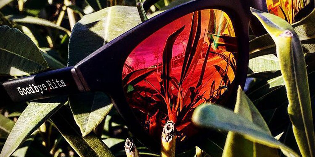 GoodbyeRita's tweet image. Nuestras gafas de sol  DYLAN  en un entorno muy natural 🌱 🌱🌱.  Our sunglasses DYLAN in a natural environment 🌱 🌱 🌱.