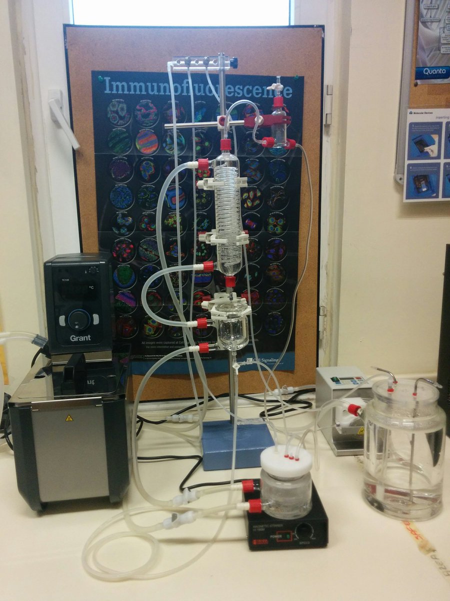 VIEW EXTREMOPHILES IN DEEP-SEA