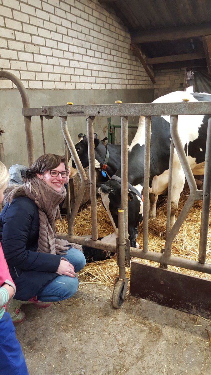 Wat een geluk! De #geboorte van # kalfje #Mandy tijdens boerderijbezoek gr. 1&amp;2 <a href="/Bslaetare/">Basisschool Laetare</a>