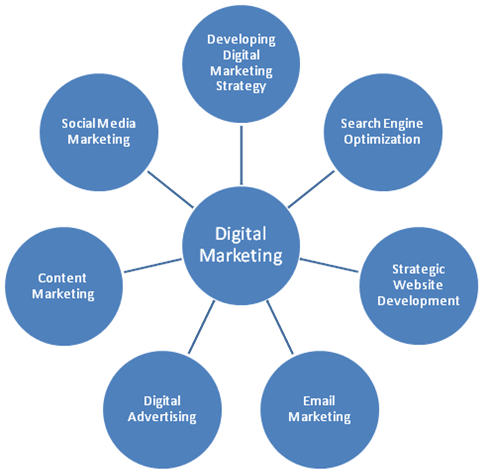 birdhousetech's tweet photo. Get a chance to increase your #Business through #BirdhouseTechnologies with its proficient strategies. https://t.co/tt32nhfpcL