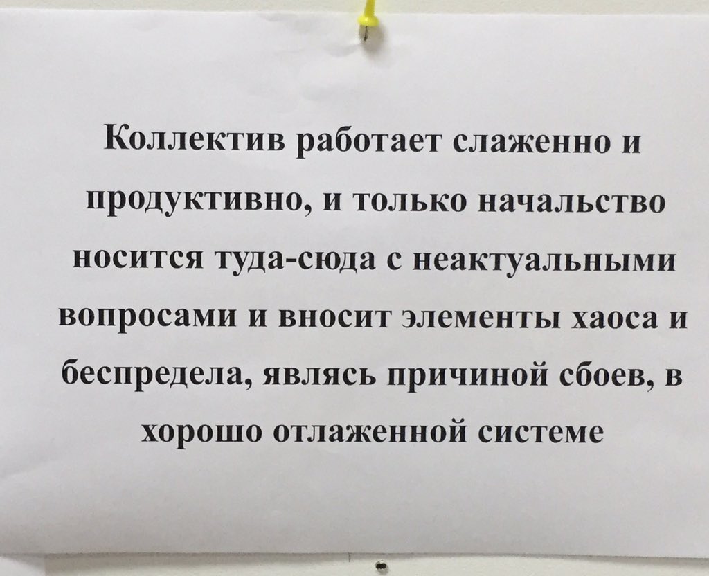 vv_gvozdev's tweet photo. Чего только не увидишь в наших офисах...:)) https://t.co/ritVq2dgy6