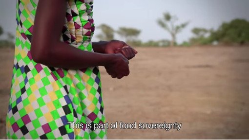 Aby zlikwidować #głód na świecie, musimy wspierać drobnych #rolnicy. Wideo handsontheland.net/towards-a-decl… #ubóstwo #HOTL4FS