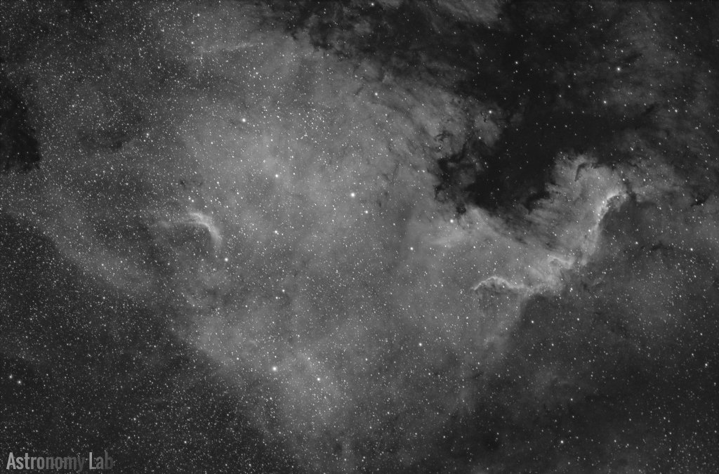 AstronomyLab's tweet image. North America Nebula. TS APO 65Q + Canon 550D (mod). bit.ly/1Y0S0LX #astronomy #photography