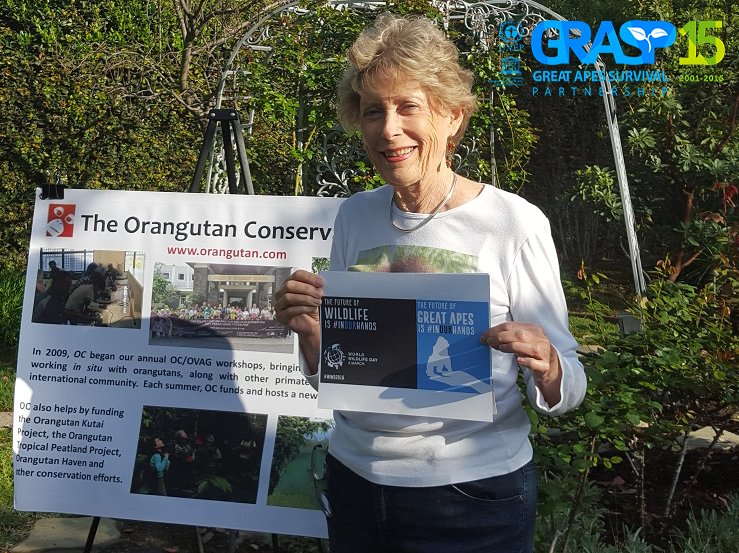 The Future of #GreatApes is #InOurHands <a href="/WildlifeDay/">World Wildlife Day</a> <a href="/CITES/">CITES</a> @03March2016 #WWD2016 <a href="/OrangutanC/">orangutan cansu</a>