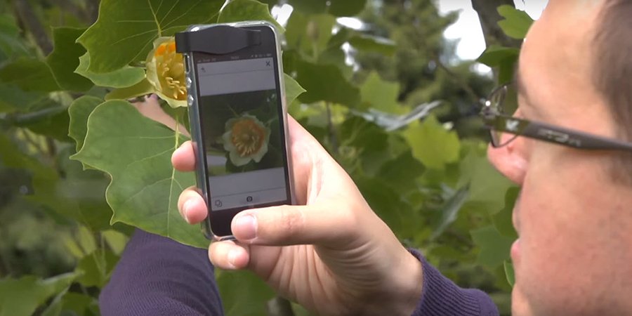 TCLFdotORG's tweet photo. Shazam for Plants Will Identify Any Plant From a Picture: https://t.co/Ya5hb8JFxK https://t.co/aJY9wPALTj